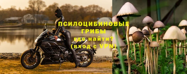 бошки Пролетарск