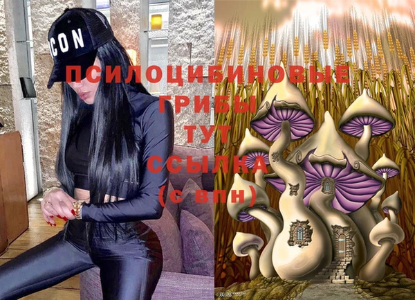 хмурый Гусиноозёрск