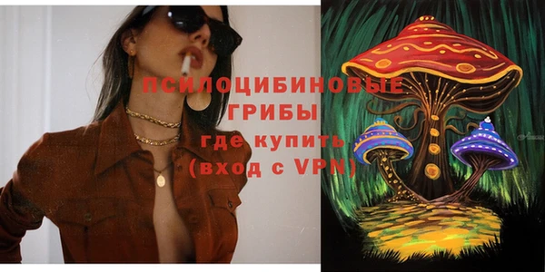 МДПВ Приозерск